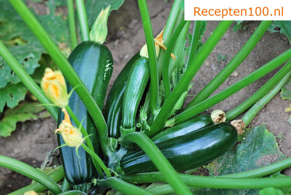 Courgettespread